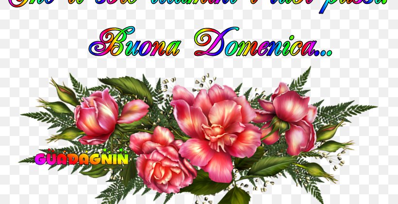 Flower Animaatio Garden Roses Color GIF, PNG, 800x420px, Flower, Animaatio, Art, Birthday, Color Download Free