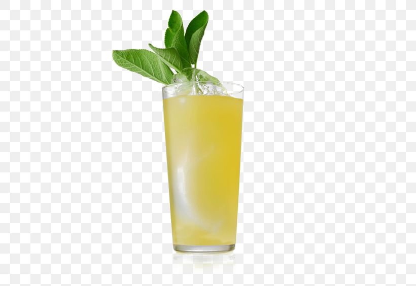 Juice Cocktail Gin Mai Tai Sea Breeze, PNG, 564x564px, Juice, Beefeater Gin, Carbonated Water, Cocktail, Cocktail Garnish Download Free