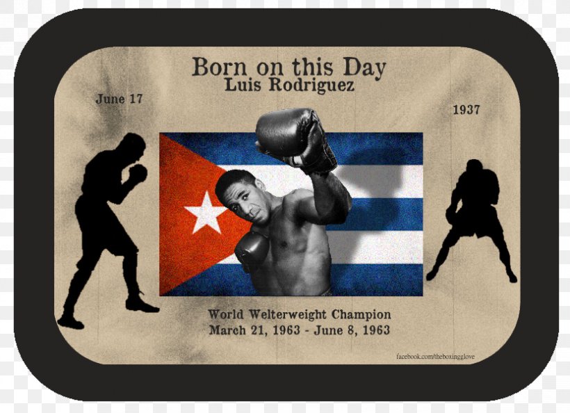 Title Bout Championship Boxing Professional Boxer Professional Boxing Boxing Glove, PNG, 830x602px, Boxing, Arizona Wildcats, Boxing Glove, Cat, George Foreman Download Free