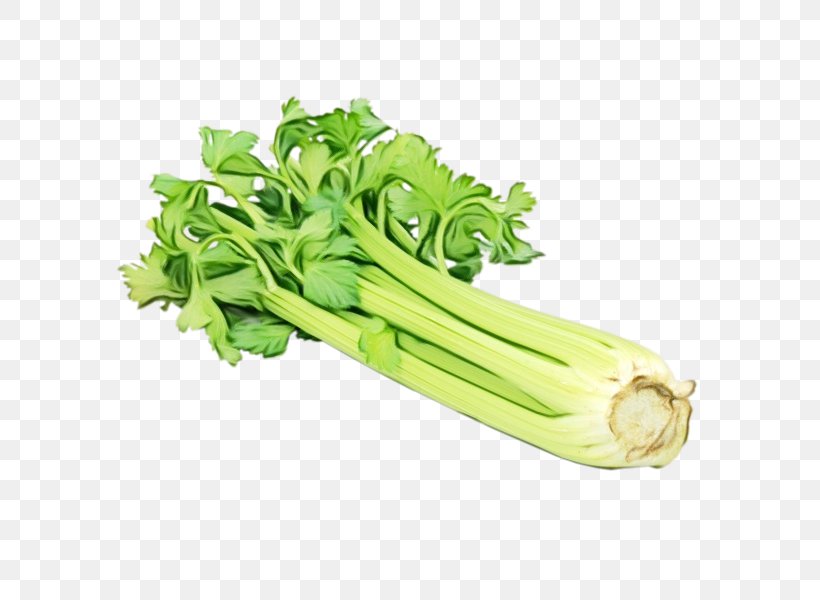 Vegetable Food Celery Plant Leaf Vegetable, PNG, 600x600px, Watercolor, Celery, Celtuce, Flower, Food Download Free
