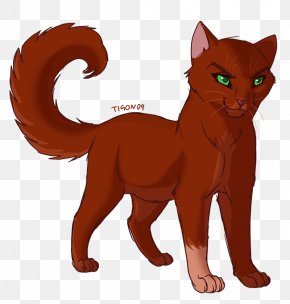 Warriors - Cat Warriors Kitten Leafpool PNG