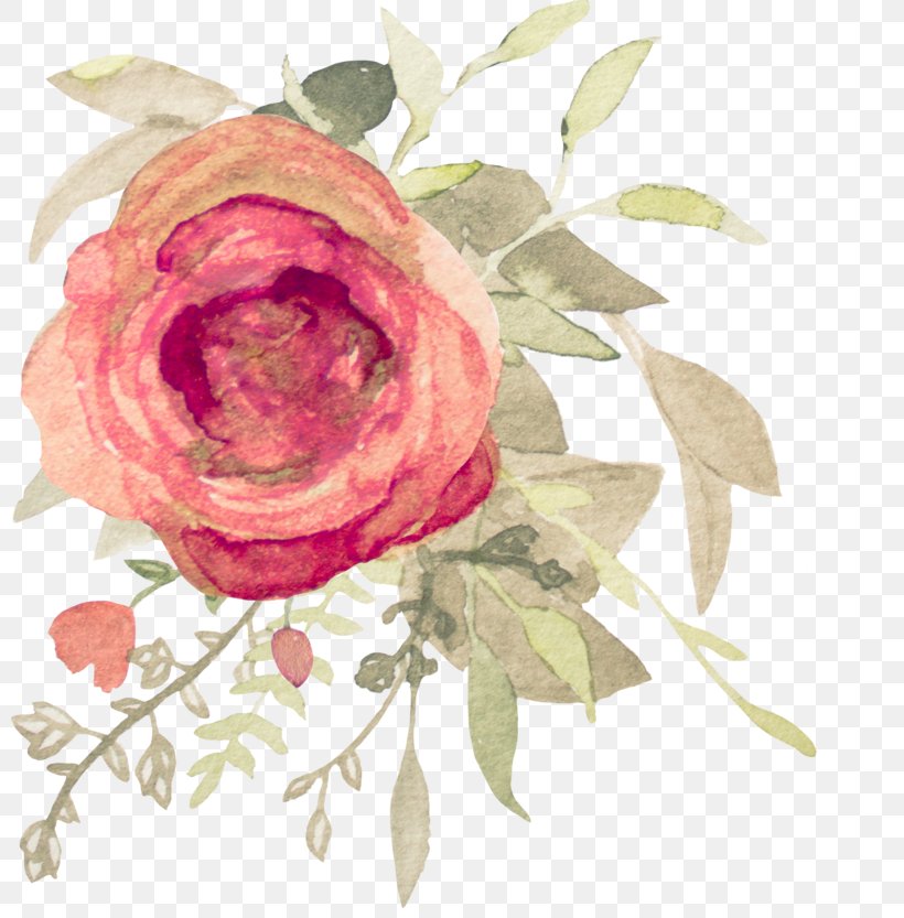 Garden Roses Flower Watercolor Painting Floral Design, PNG, 800x833px, Rose, Canvas, Cut Flowers, Floral Design, Floristry Download Free