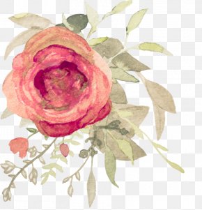 Watercolor Sky - Garden Roses Flower Watercolor Painting Floral Design PNG