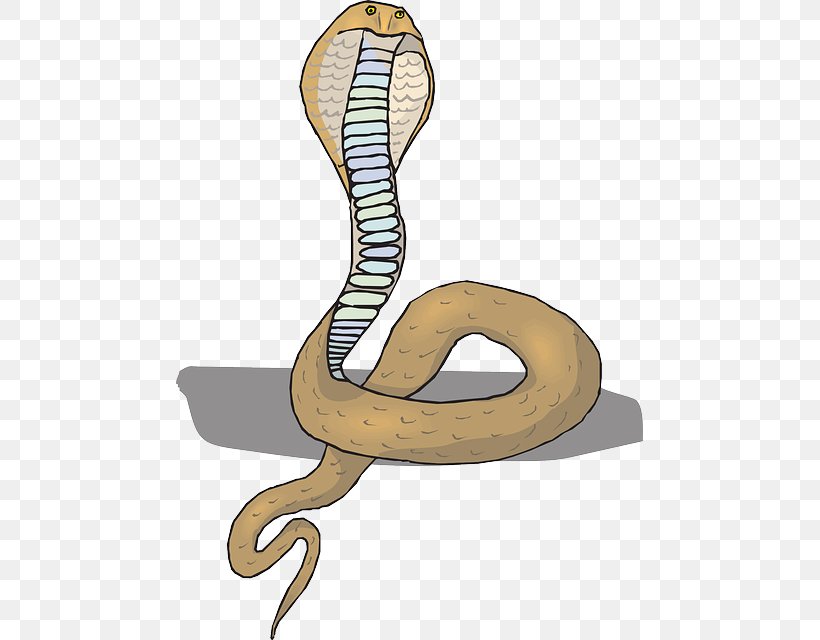 Rattlesnake King Cobra Clip Art, PNG, 467x640px, Snake, Boa Constrictor, Boas, Cobra, Crotalus Durissus Download Free