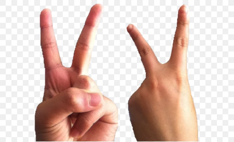 The Finger V Sign Middle Finger Index Finger, PNG, 610x497px, Finger, Digit, Gesture, Hand, Hand Model Download Free