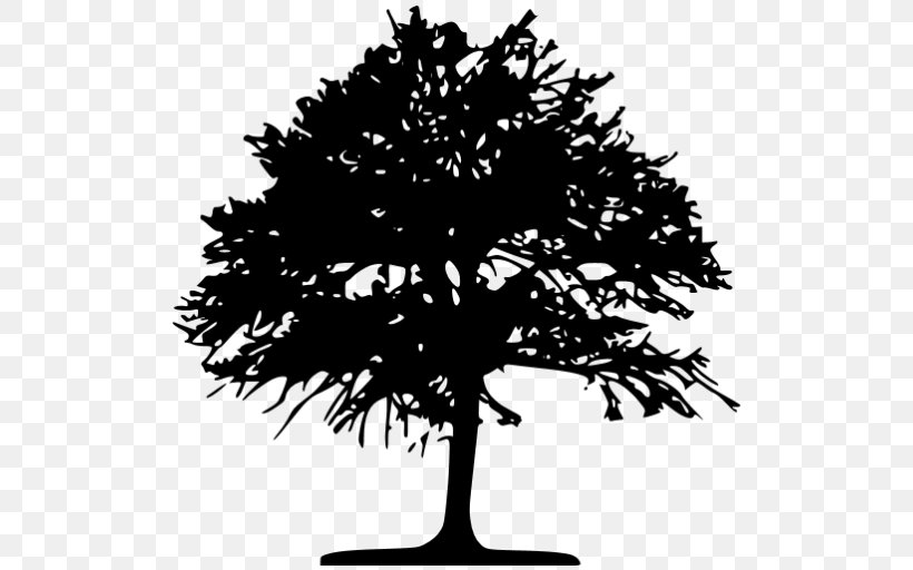 Tree Silhouette Drawing Clip Art, PNG, 512x512px, Tree, Art, Black And White, Branch, Conifer Download Free