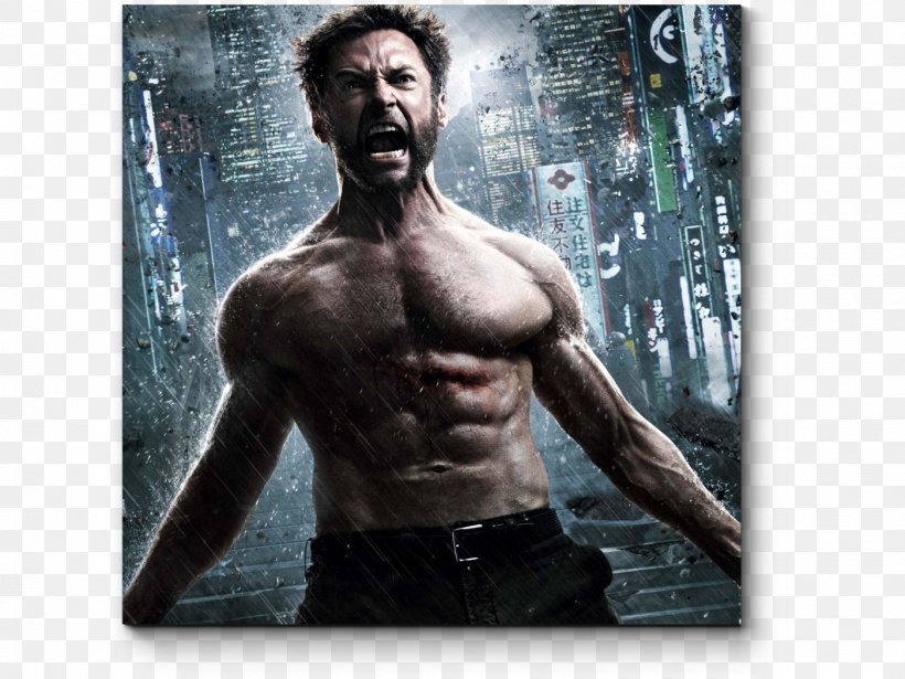 X-Men Origins: Wolverine Download Film Image, PNG, 1400x1050px, Watercolor, Cartoon, Flower, Frame, Heart Download Free