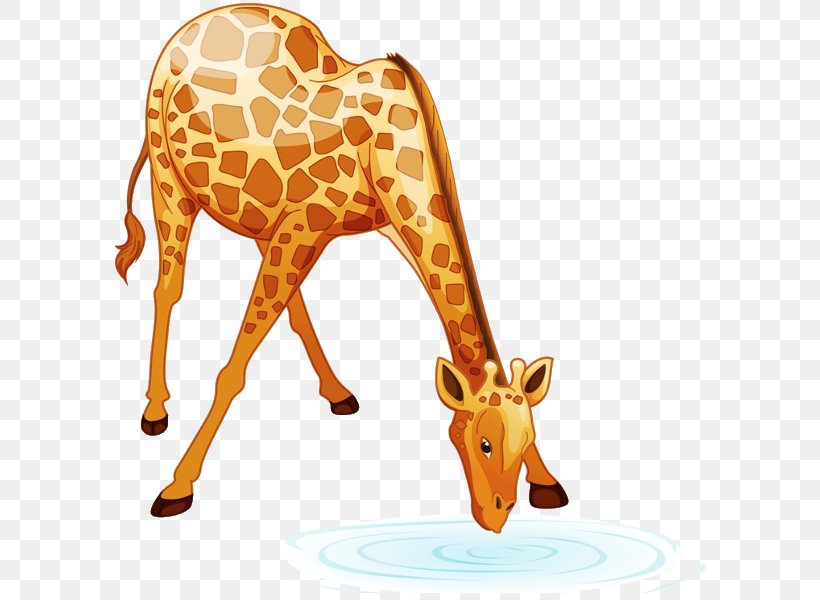 Baby Giraffes Clip Art, PNG, 600x600px, Giraffe, Animal, Animal Figure, Baby Giraffes, Cartoon Download Free