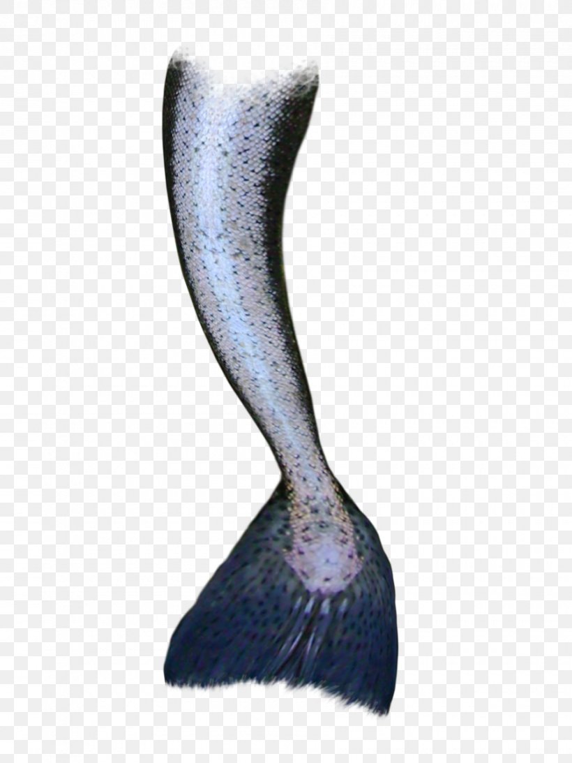 Mermaid Tail Siren, PNG, 900x1200px, Mermaid, Aquamarine, Idea, Legend, Legendary Creature Download Free