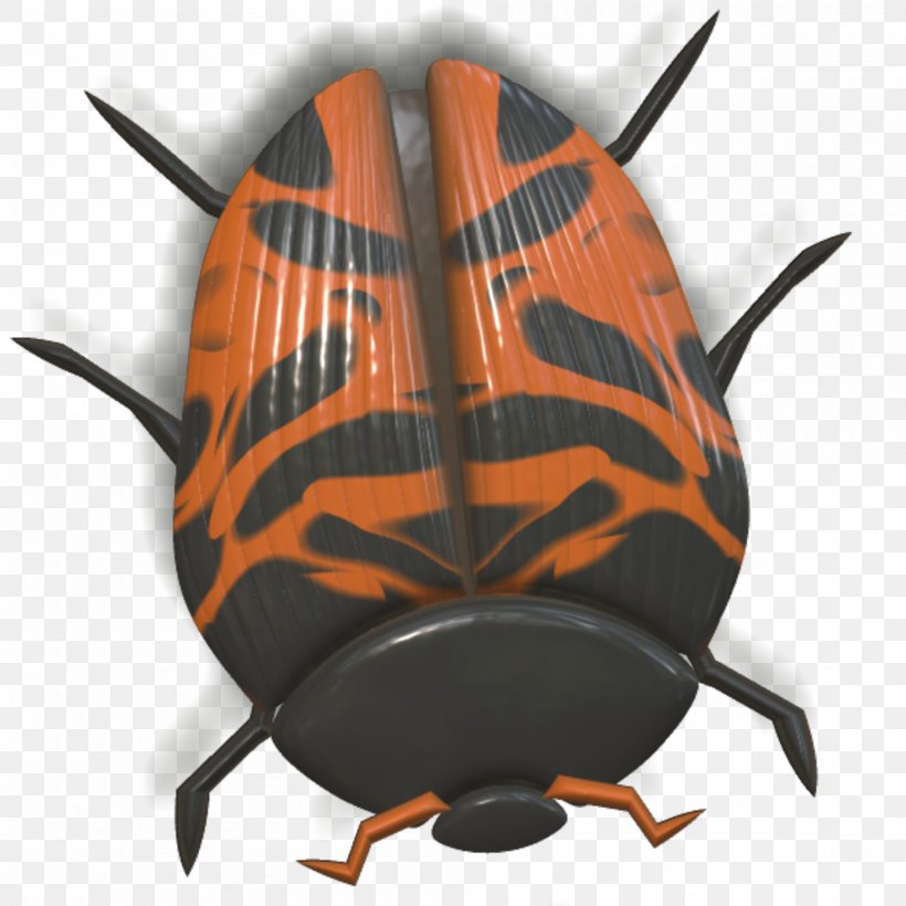 Beetle Orange Ladybird, PNG, 2000x2000px, 3d Computer Graphics, Beetle, Animal, Blue, Color Download Free