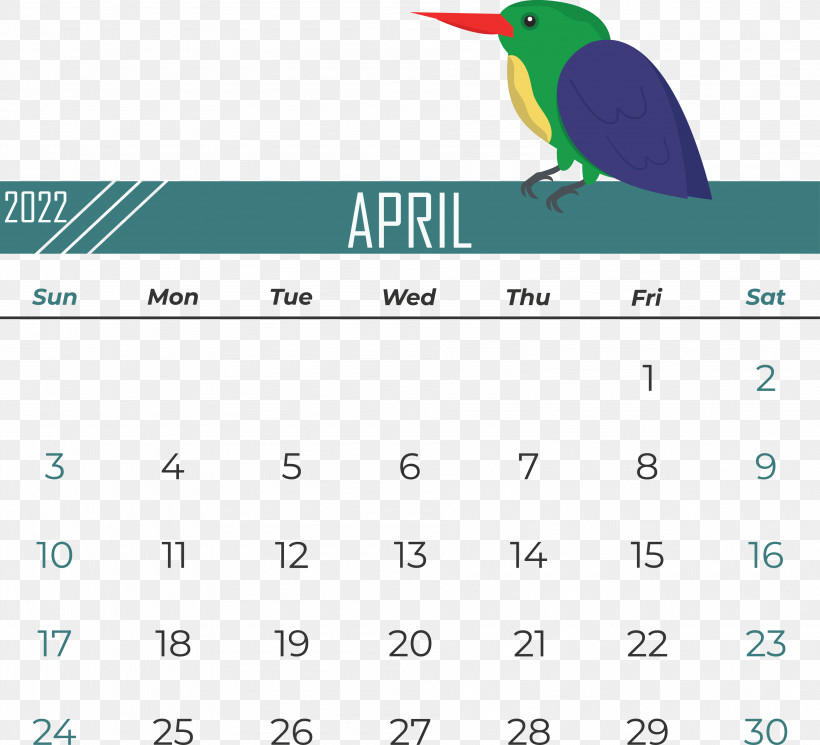 Birds Logo Font Beak Calendar, PNG, 3785x3441px, Birds, Beak, Biology, Calendar, Geometry Download Free