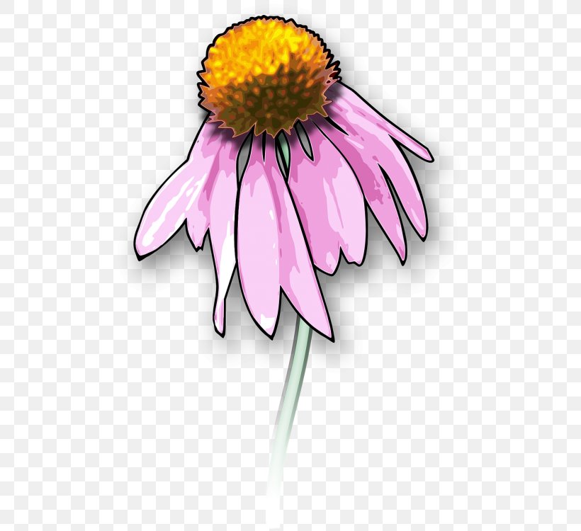 Clip Art Drawing Death Openclipart Graphics, PNG, 500x750px, Drawing, Aster, Coneflower, Cut Flowers, Daisy Download Free