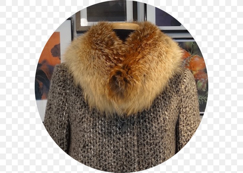 Fur Wool Hood Jacket .ch, PNG, 586x586px, Fur, Frostbite, Fur Clothing, Hood, Jacket Download Free