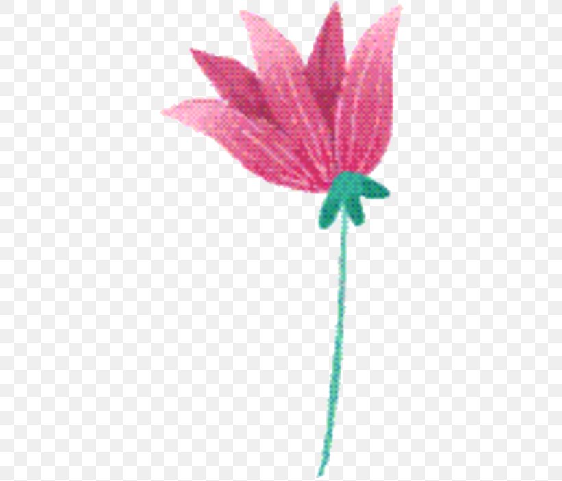 Pink Flower Cartoon, PNG, 371x702px, Petal, Anthurium, Flower, Leaf, Pedicel Download Free