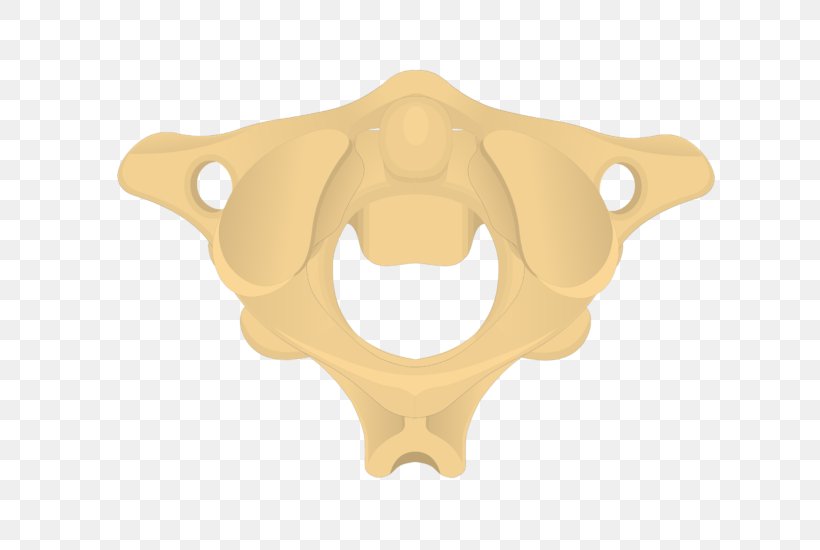 Gray's Anatomy Atlas Axis Cervical Vertebrae, PNG, 690x550px, Atlas, Anatomy, Axis, Bone, Cervical Vertebrae Download Free