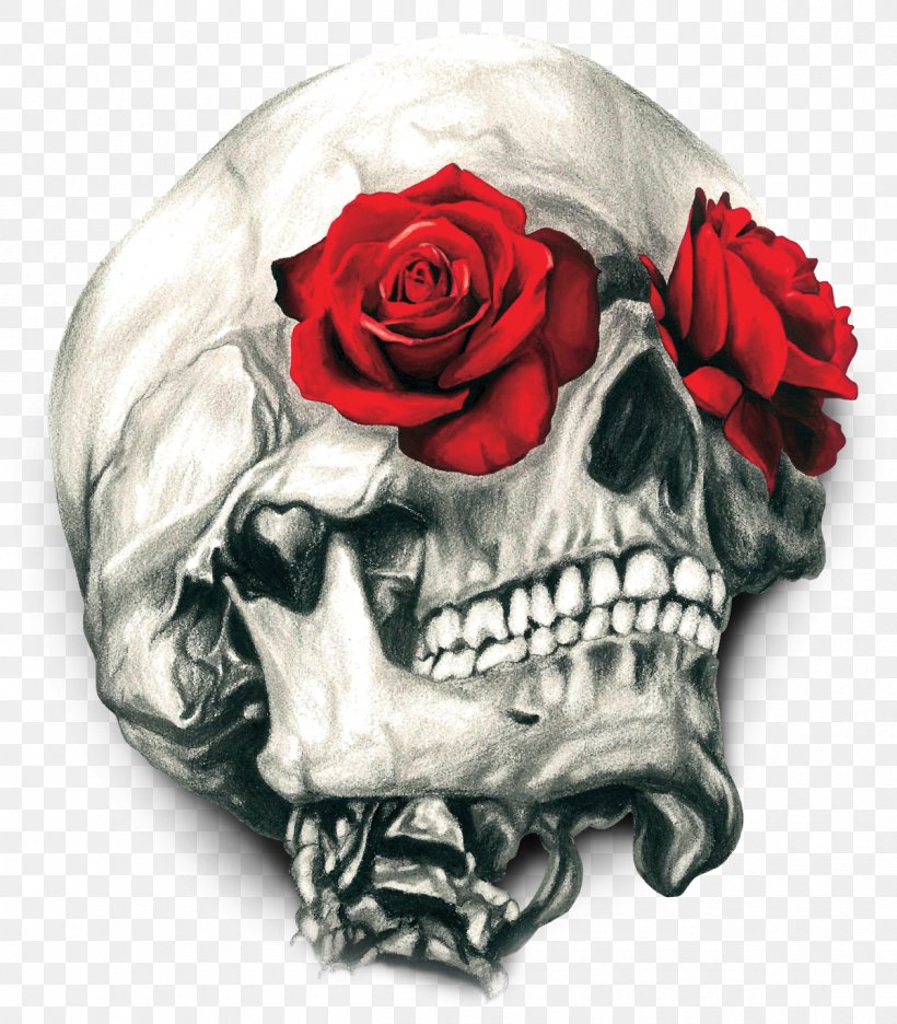 T-shirt Human Skull Symbolism Rose Calavera, PNG, 1200x1371px, Tshirt, Art, Bone, Calavera, Color Download Free