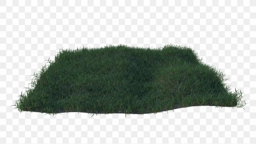 TinyPic Grasses Common Couch Lawn, PNG, 1600x900px, Tinypic, Artist, Blender, Common Couch, Grass Download Free