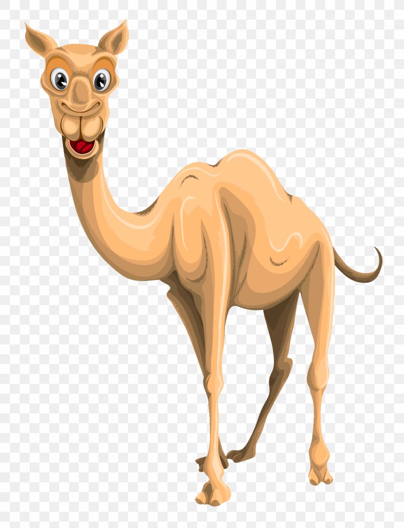 Camel Clip Art, PNG, 1350x1767px, Dromedary, Arabian Camel, Camel, Camel Like Mammal, Computer Graphics Download Free