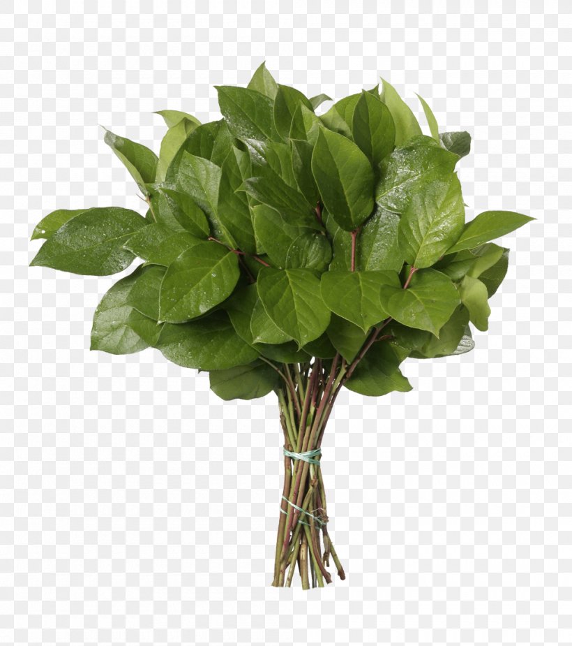 Flower Bouquet Gaultheria Shallon Leaf Gum Trees, PNG, 1000x1129px, Flower, Cut Flowers, Etsy, Floral Design, Floristry Download Free