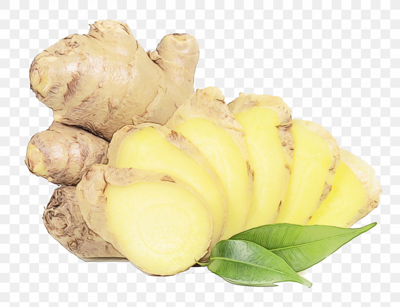 Ginger Vegetable Plant Tuber Root Vegetable, PNG, 2000x1538px, Watercolor, Flower, Food, Ginger, Herbaceous Plant Download Free