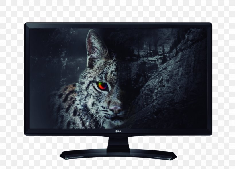 LED-backlit LCD 4K Resolution Smart TV Television LG, PNG, 1200x864px, 4k Resolution, Ledbacklit Lcd, Computer Monitor, Display Device, Flat Panel Display Download Free