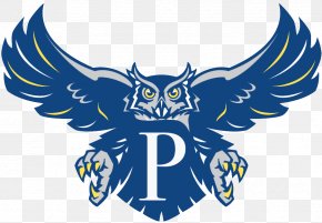 American Football - Rice Owls Football Rice Owls Baseball Rice Owls Men's Basketball Houston Cougars Football Sammy The Owl PNG