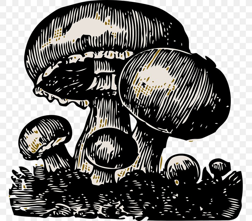 Common Mushroom Edible Mushroom Clip Art, PNG, 761x720px, Common Mushroom, Agaricus, Black And White, Edible Mushroom, Enokitake Download Free