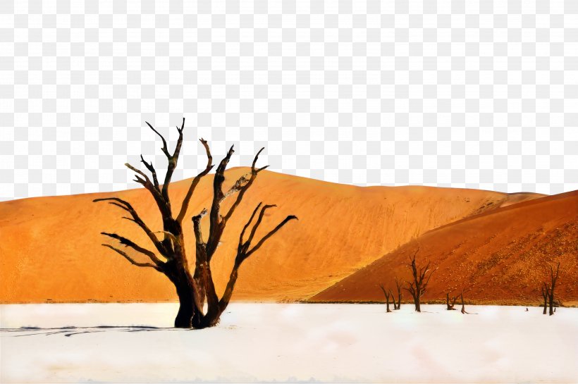 Deadvlei Spitzkoppe Desktop Wallpaper Desert Accommodation, PNG, 2994x1993px, 4k Resolution, Desert, Accommodation, Aeolian Landform, Dune Download Free