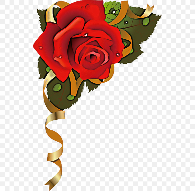 Garden Roses, PNG, 541x800px, Rose, Bouquet, Cut Flowers, Flower, Garden Roses Download Free