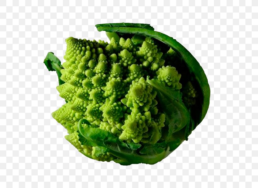 Fractal Nature Story Orbit Trap Sierpinski Triangle Anticarcinogen, PNG, 600x600px, Fractal, Anticarcinogen, Broccoflower, Broccoli, Cruciferous Vegetables Download Free