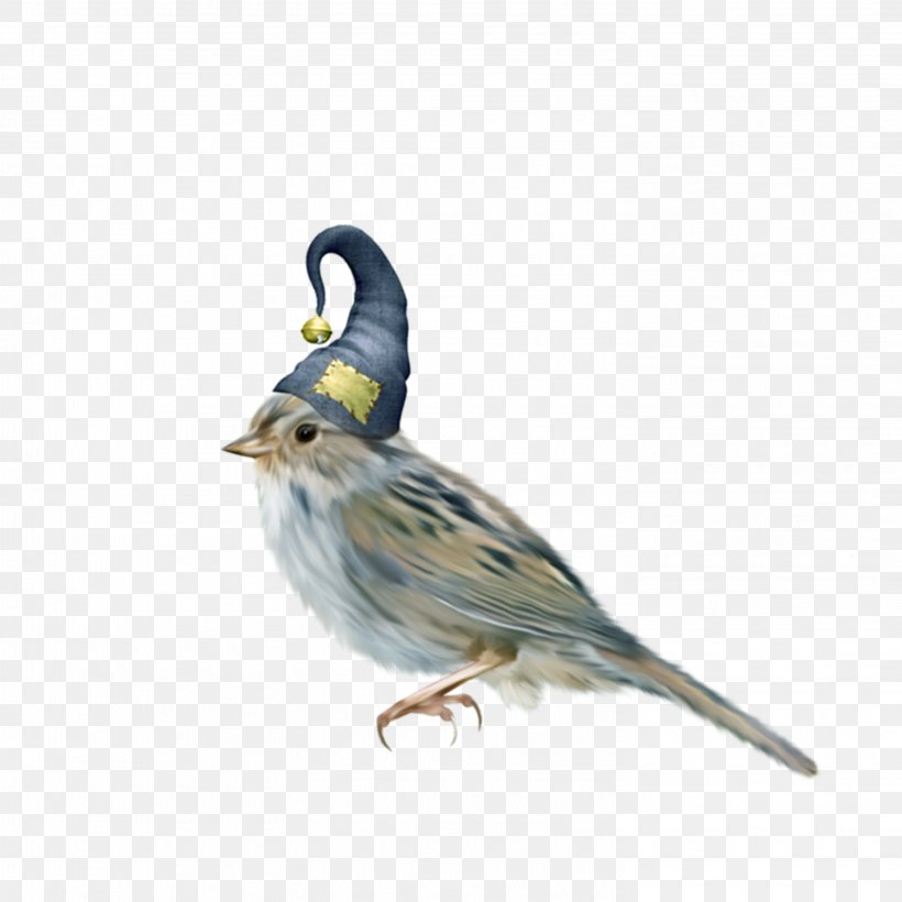 House Sparrow Bird Clip Art, PNG, 2953x2953px, House Sparrow, Beak, Bird, Chickadee, Digital Image Download Free