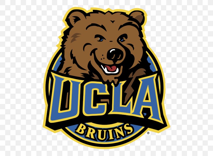 University Of California, Los Angeles UCLA Bruins Football Bear Logo Brand, PNG, 800x600px, Ucla Bruins Football, American Football, Bear, Bleacher, Brand Download Free