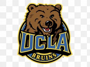 Bear - University Of California, Los Angeles UCLA Bruins Football Bear Logo Brand PNG