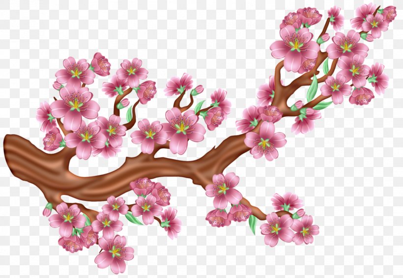 Cherry Blossom Tree Drawing, PNG, 1159x800px, Cherry Blossom, Blossom, Branch, Drawing, Flower Download Free