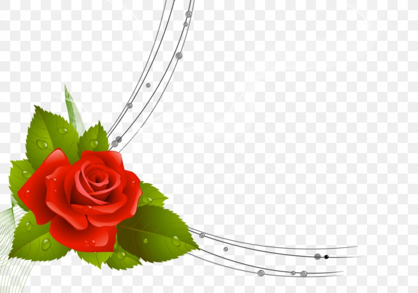 Garden Roses Flower Bouquet, PNG, 1024x717px, Garden Roses, Blog, Cut Flowers, Flora, Floral Design Download Free