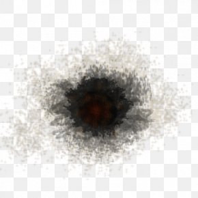 Scorch - Search Engine Optimization Keyword Research Index Term Guineafowl PNG