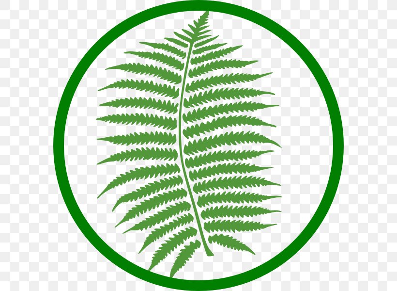 Tree Fern Clip Art Barnsley Fern, PNG, 600x600px, Fern, Barnsley Fern, Drawing, Frond, Iterated Function System Download Free
