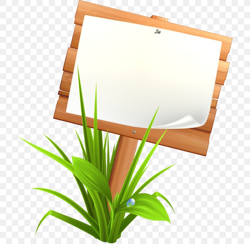 Vector Graphics Royalty-free Stock Photography Clip Art, PNG, 707x800px, Royaltyfree, Flowerpot, Grass, Grass Family, Photography Download Free