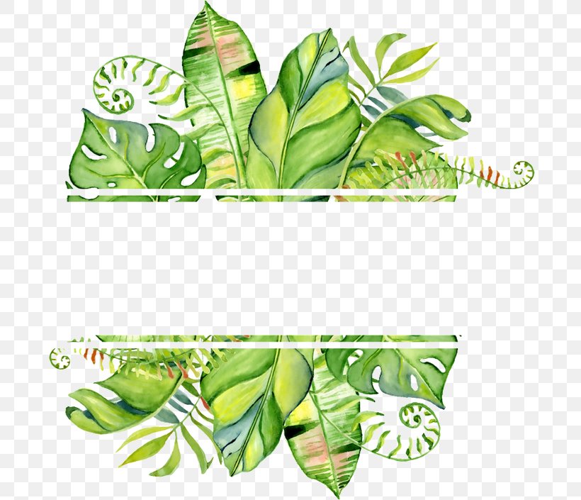Watercolor Painting Clip Art Stock Illustration Drawing, PNG, 720x705px, Watercolor Painting, Borders And Frames, Botany, Drawing, Flower Download Free