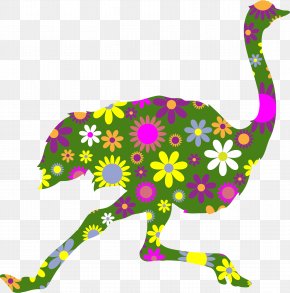 Ostrich - Common Ostrich Running Dinosaur Clip Art PNG