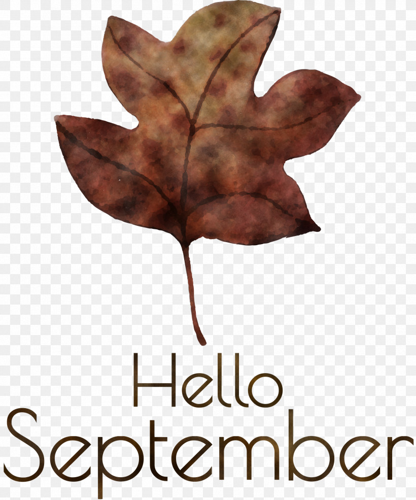 Hello September September, PNG, 2496x3000px, Hello September, Autumn, Autumn Leaf Color, Collecting, Color Download Free