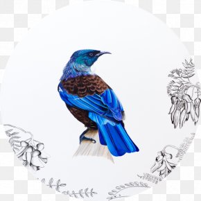 Bird Watercolor - New Zealand Bird Paper Printmaking Art PNG