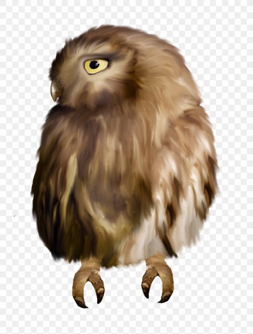 Owl Sovunya Watercolor Painting Clip Art, PNG, 872x1152px, Owl, Animal, Beak, Bird, Bird Of Prey Download Free