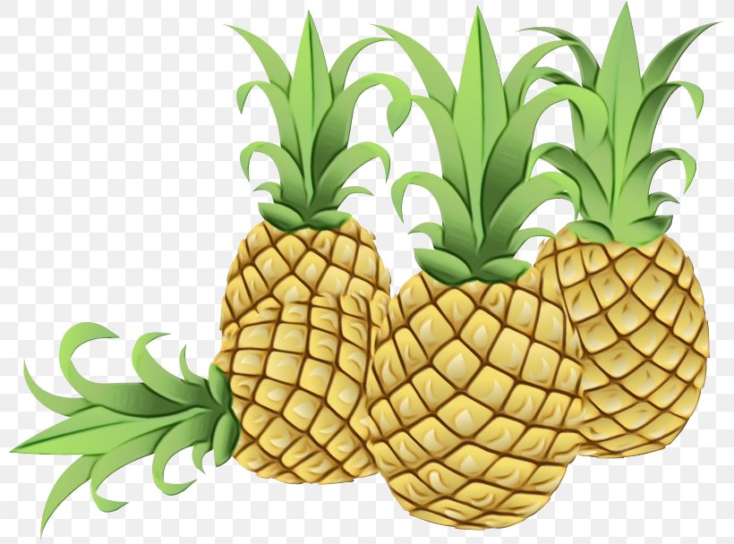 Pineapple Fruit Health Food Eating, PNG, 800x608px, Pineapple, Ananas, Beslenme, Bromeliaceae, Detoxification Download Free