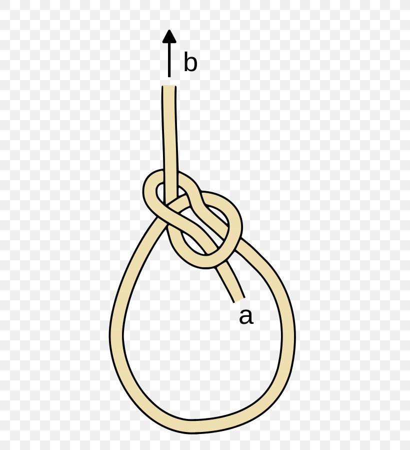 Cowboy Bowline The Ashley Book Of Knots Reef Knot, PNG, 453x899px, Bowline, Area, Ashley Book Of Knots, Bowline On A Bight, Clove Hitch Download Free