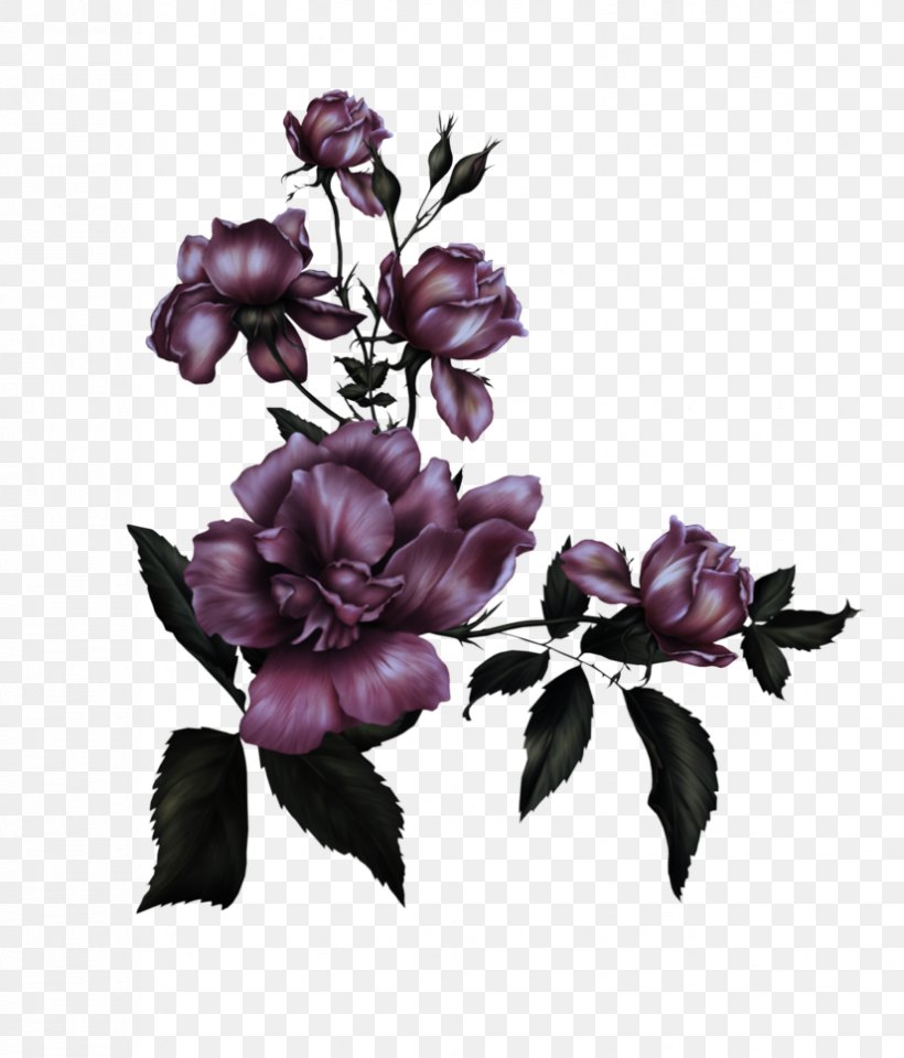 Flower Lilac Purple Violet Plant, PNG, 826x968px, Flower, Flowering Plant, Lilac, Magnolia, Petal Download Free