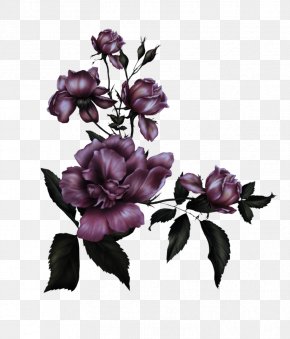 Magnolia Petal - Flower Lilac Purple Violet Plant PNG