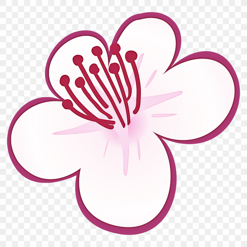 Plum Blossoms Plum Winter Flower, PNG, 1200x1200px, Plum Blossoms, Flower, Hibiscus, Magenta, Petal Download Free