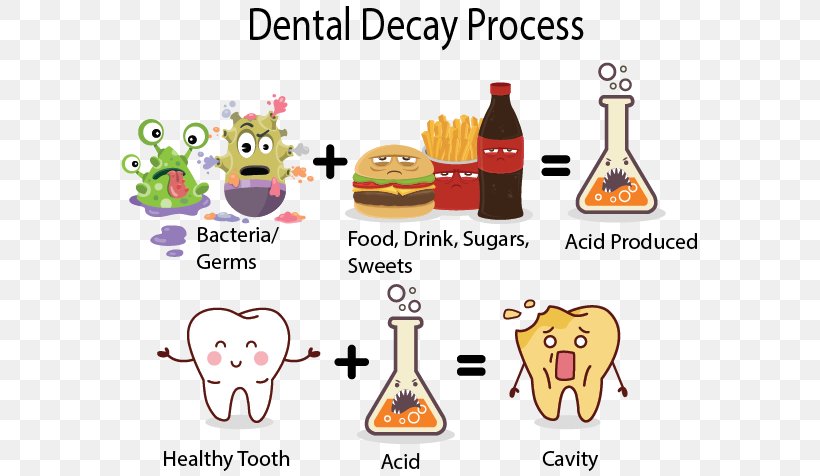 Tooth Decay Human Tooth Dentistry Tooth Enamel, PNG, 578x476px, Tooth Decay, Acid, Area, Bacteria, Cartoon Download Free