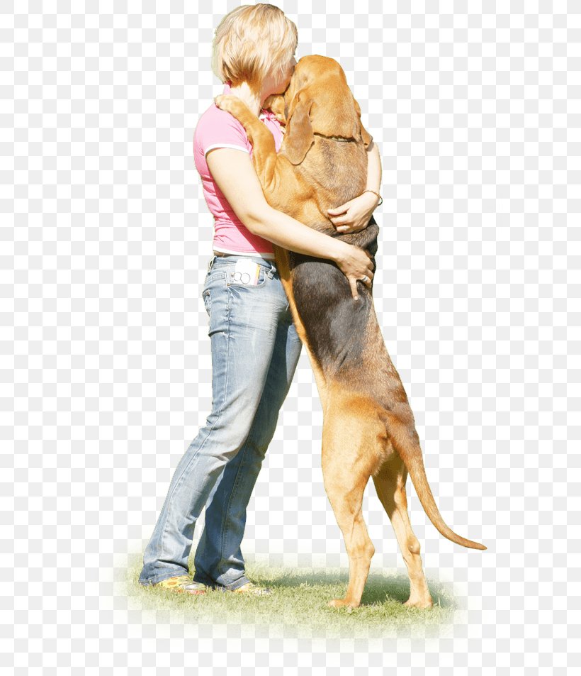 Dog Breed Puppy Companion Dog Obedience Training, PNG, 600x953px, Dog Breed, Aggression, Breed, Carnivoran, Companion Dog Download Free